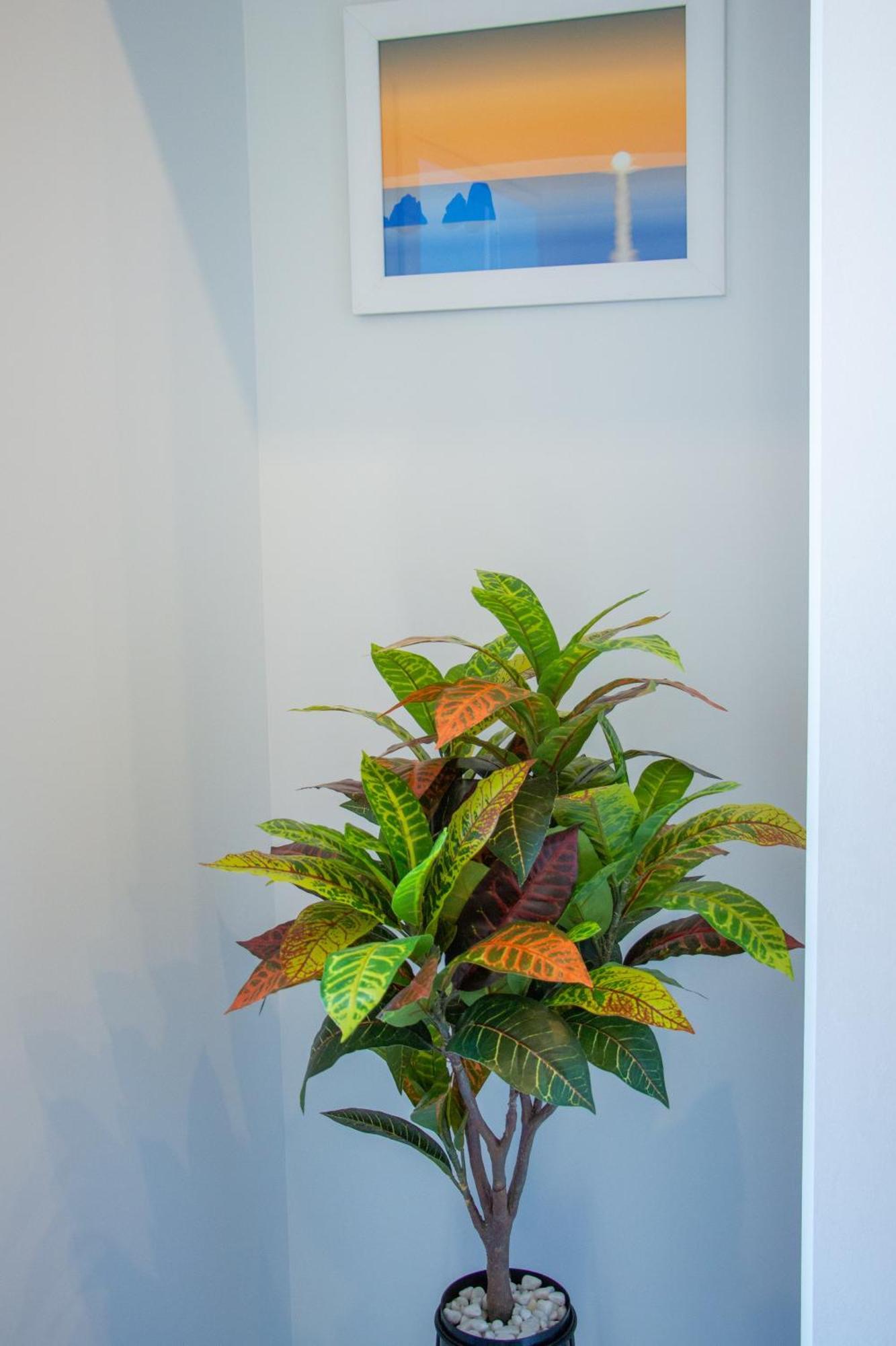 Wanderlust Aria Di Mare Apartment Napoli Exterior foto